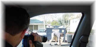 Regulation of private investigators to come into force in 2014