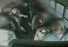 North America Leads in Worldwide Mobile Video Surveillance Equipment Sales