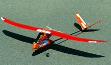 Micro Air Vehicles for police surveillance