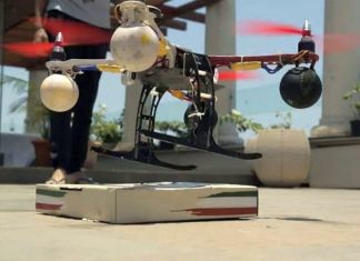 Mumbai pizza delivery drones cause security concern