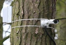 Odisha turns to CCTV in battle against elephant poachers