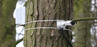 Odisha turns to CCTV in battle against elephant poachers