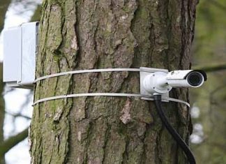 Odisha turns to CCTV in battle against elephant poachers