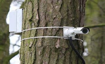 Odisha turns to CCTV in battle against elephant poachers