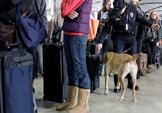TSA turns to canines for bomb sniffing