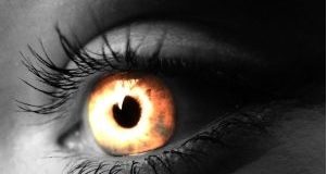 Andhra Pradesh adopts iris scanning for pension payments