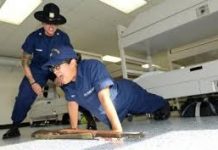 Training coastguards could be key to fighting piracy
