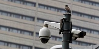 Kolhapur gets Rs 2 crore for CCTV cover from DPDC