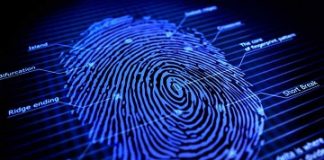 Fingerprint market set for double digit growth