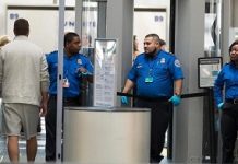 Big jump in gun seizures at US airport security checkpoints