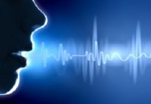 Voice biometrics revenue to reach $5.1bn by 2024