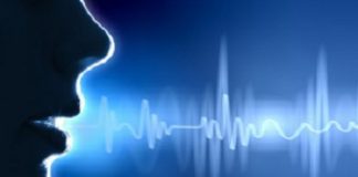Voice biometrics revenue to reach $5.1bn by 2024
