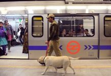 160 ‘weak points’ identified in Delhi Metro security: CISF