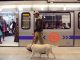 160 ‘weak points’ identified in Delhi Metro security: CISF