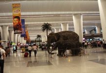 Natural potted plants banned at Indian airports, fakes to be substituted