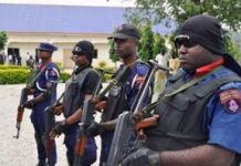 NSCDC to train 1,000 private security guards in Borno