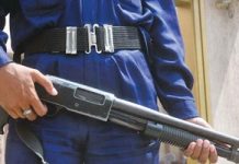 Chinese companies allowed to hire private security guards in Pakistan