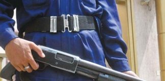 Chinese companies allowed to hire private security guards in Pakistan