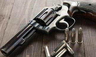 Firearm laws get tougher, even airguns need permit