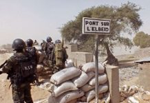 Cameroon clamps down on Private Security Firms