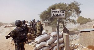 Cameroon clamps down on Private Security Firms