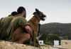 India acquires elite Israeli ‘Sniffer and Attack’ dogs to bolster PM’s security