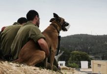 India acquires elite Israeli ‘Sniffer and Attack’ dogs to bolster PM’s security