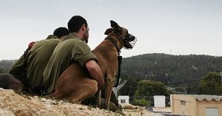 India acquires elite Israeli ‘Sniffer and Attack’ dogs to bolster PM’s security