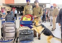 Delhi Airport security fee to stay at Rs 200, Aviation Ministry says no to hike plan