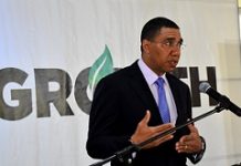 Jamaica looking at Public-Private Partnership to expand CCTV coverage