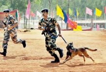 Maharashtra Police to get a new breed of canine officers from Belgium