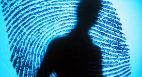 Biometrics Institute and IOM collaborate to promote responsible use of biometrics