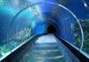 Dubai airport to replace security checks by virtual aquarium