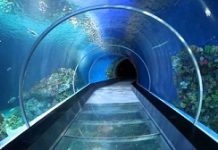 Dubai airport to replace security checks by virtual aquarium
