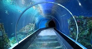 Dubai airport to replace security checks by virtual aquarium