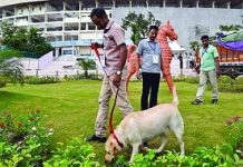 Over 500 private security guards trained to keep tabs on FIFA U-17 World Cup