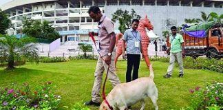 Over 500 private security guards trained to keep tabs on FIFA U-17 World Cup