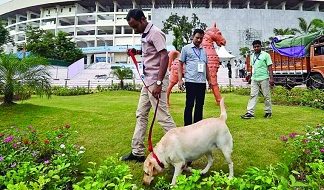Over 500 private security guards trained to keep tabs on FIFA U-17 World Cup