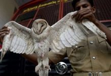 BMC to procure telescopic rods to save firemen