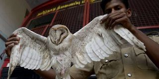 BMC to procure telescopic rods to save firemen