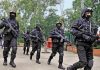 NSG commandos may be trained to counter lone wolf Islamic State attack on Kumbh Mela