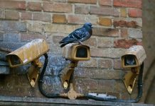 Brazilian AI cameras to keep watch on Indian metros