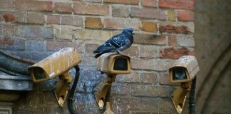 Brazilian AI cameras to keep watch on Indian metros