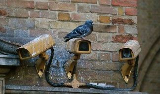 Brazilian AI cameras to keep watch on Indian metros