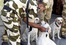 As Delhi Metro expands, CISF dog squad gets new members