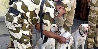 As Delhi Metro expands, CISF dog squad gets new members