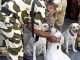 As Delhi Metro expands, CISF dog squad gets new members