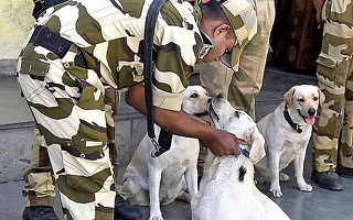 As Delhi Metro expands, CISF dog squad gets new members