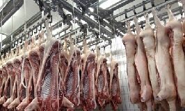 CCTV becomes mandatory in all UK abattoirs