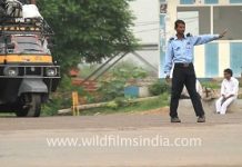 Pvt security guards to man Delhi-Gurugram eway to curb accidents